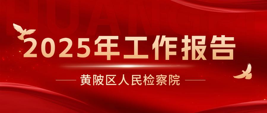 一图读懂 │ 黄陂区人民检察院2025年工作报告